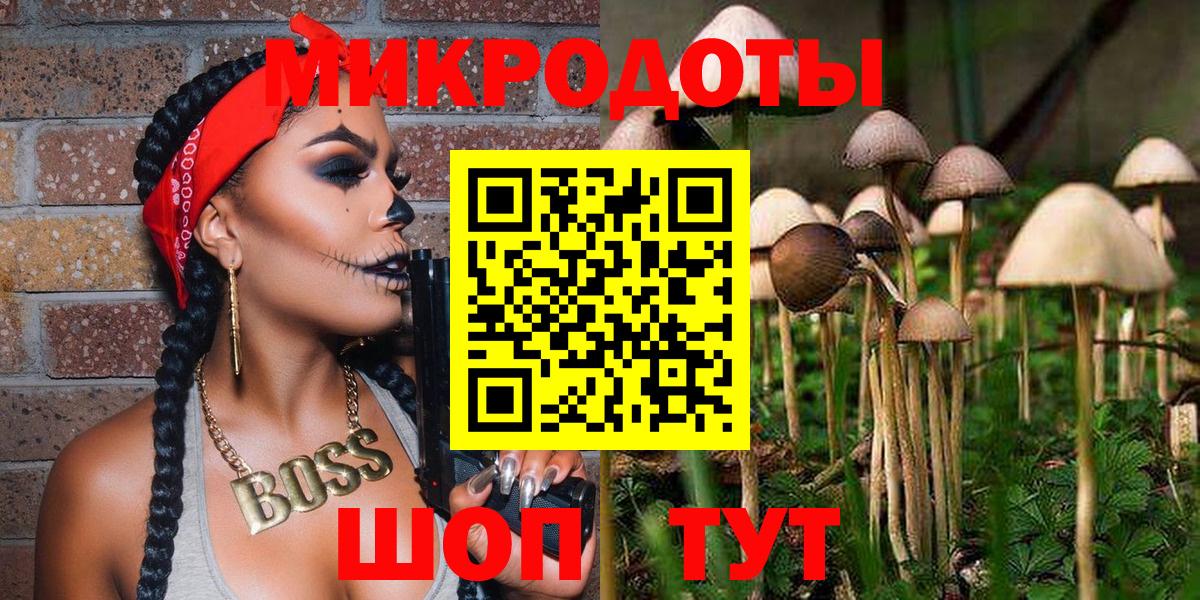 Каменск-Уральский  Галлюциногенные грибы Cubensis  Вход с VPN 